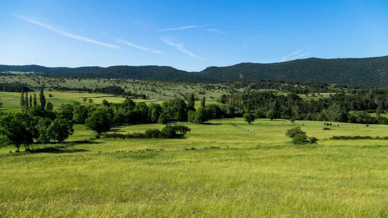 Casa Rural Cal Rossa De Taus Spa 외부 사진